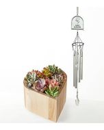 My Heart Succulent Garden and Love Blooms Windchime Gift Set