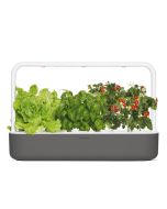 Click & Grow Smart Garden 9 Bundle