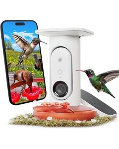 Bird Buddy Smart Solar Hummingbird Feeder Pro