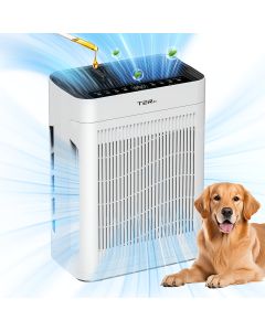 Large Room HEPA Air Purifier