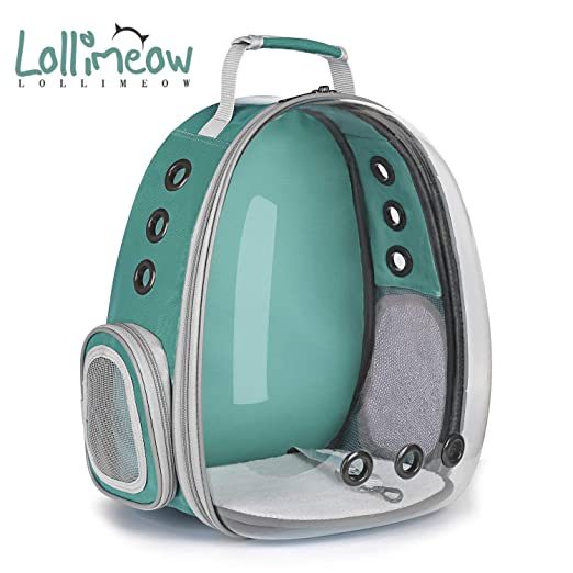 Cat Carrier Backpack vs Cuddler Bed: Comfort for Travel and Home
