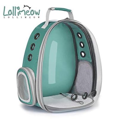 Cat Carrier Backpack vs Cuddler Bed: Comfort for Travel and Home